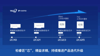 柏睿「睿鲲」芯片发布 数据加速与安全的新篇章